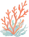 sea-coral